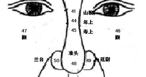 福鼻 面相|麦玲玲面相讲座之 鼻子 – 人相学